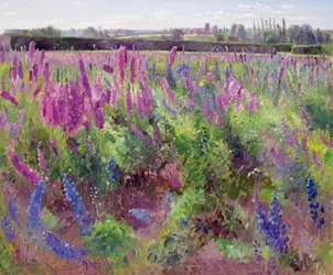 Das Delphinium-Feld, 1991
